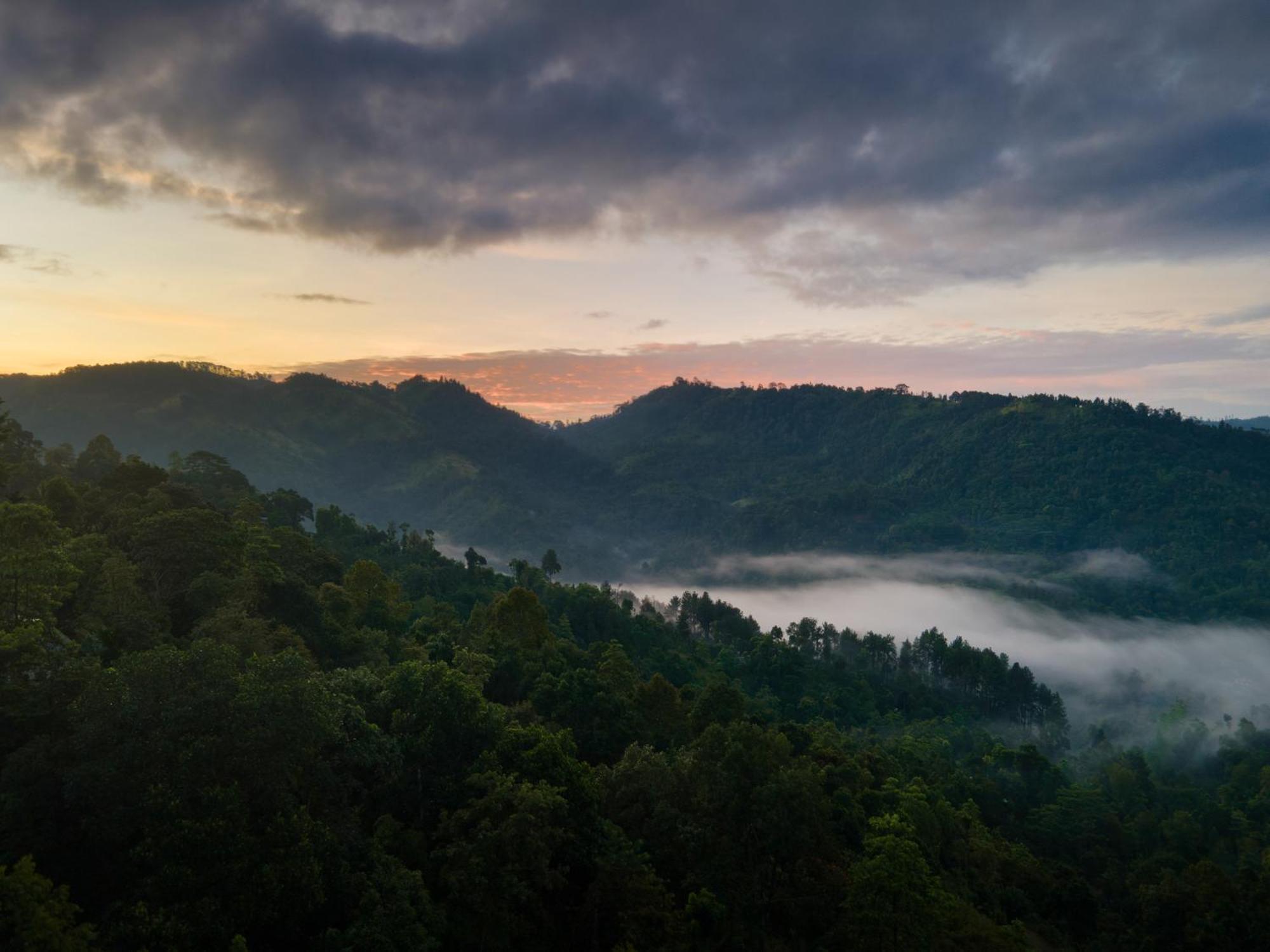 Mount Havana Kandy Buitenkant foto